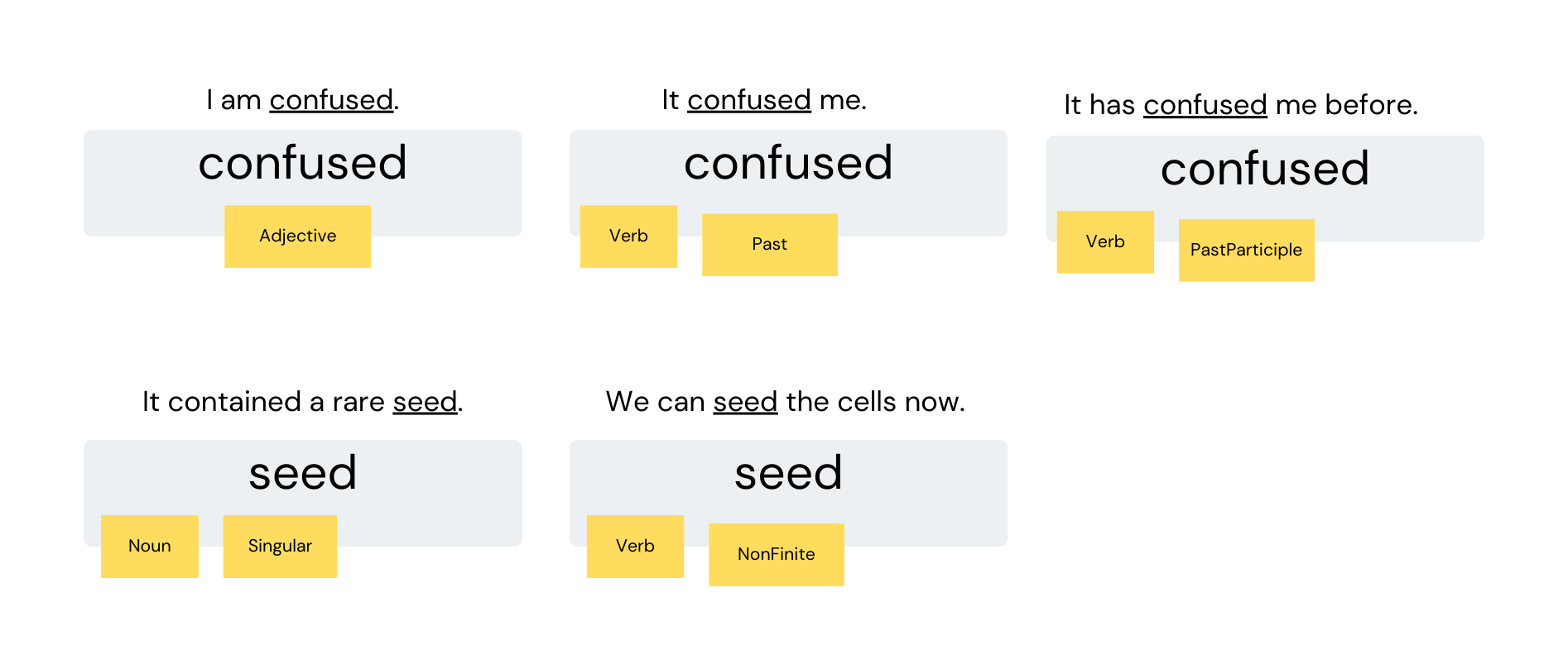 one-token-many-terms